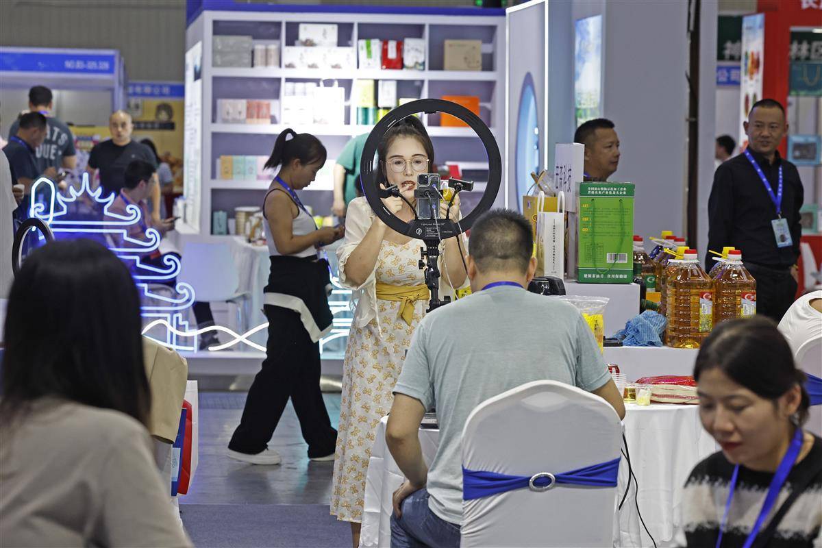 免费白菜彩金网